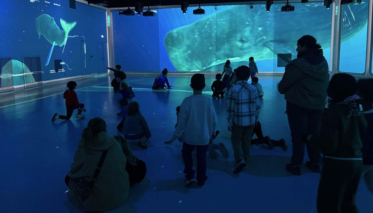 acuario lyon trison_17171815