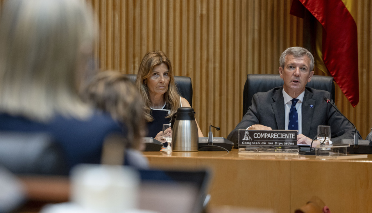 El presidente de la Xunta de Galicia, Alfonso Rueda, comparece en la Comisión Mixta para la UE