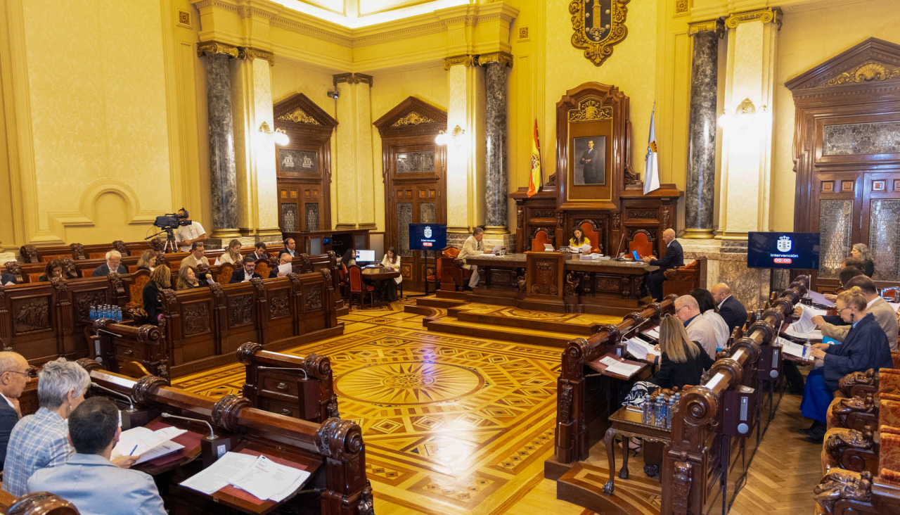 Pleno en desarrollo