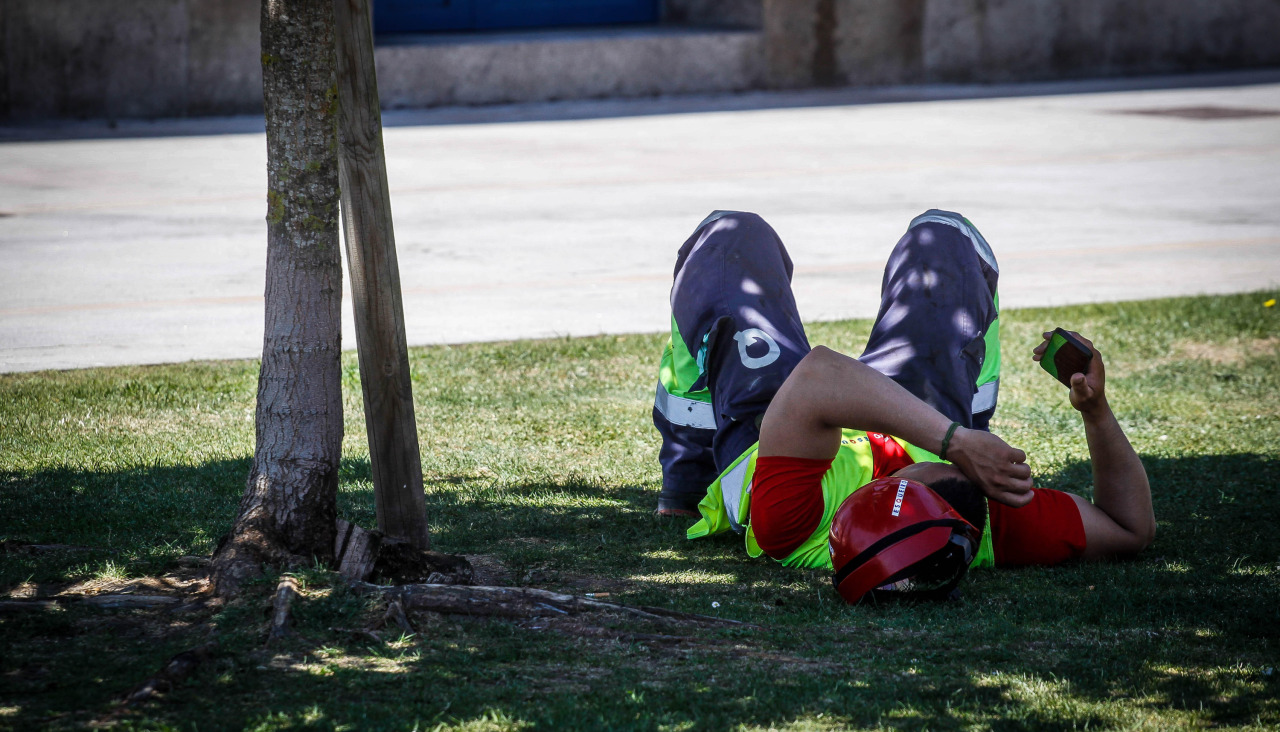 Un hombre se resguarda del sol bajo un árbol en La Marina