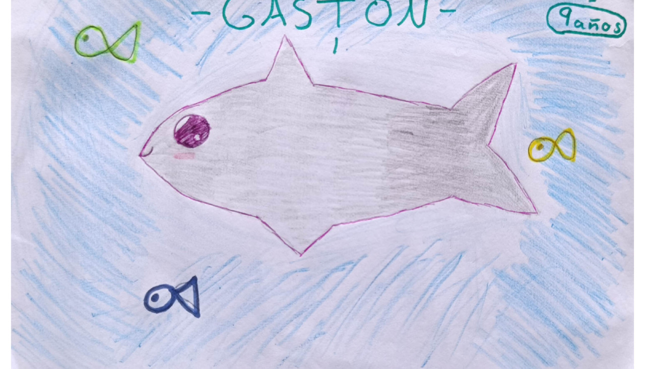Dibujos homenaje a Gastón Elisa y Rui