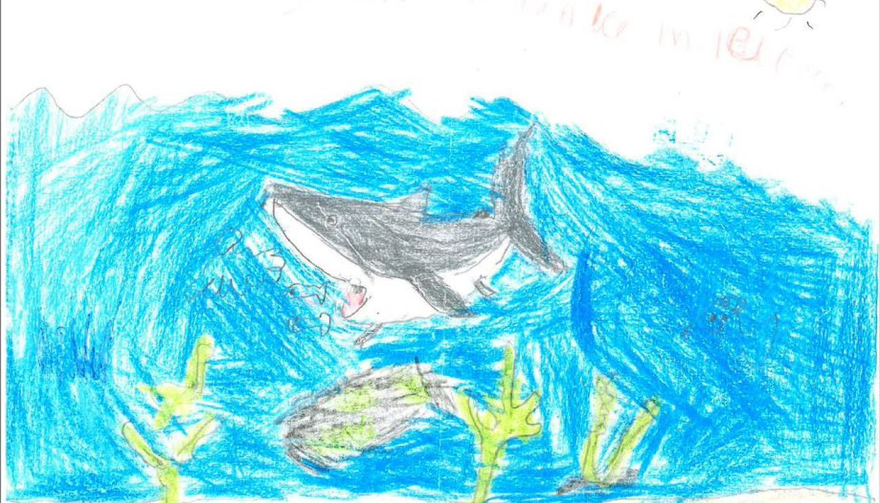 Dibujos de los hijos de Silvia Mateos