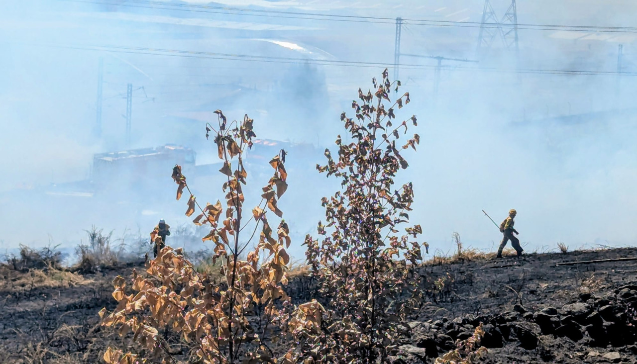 Incendio forestal en As Rañas