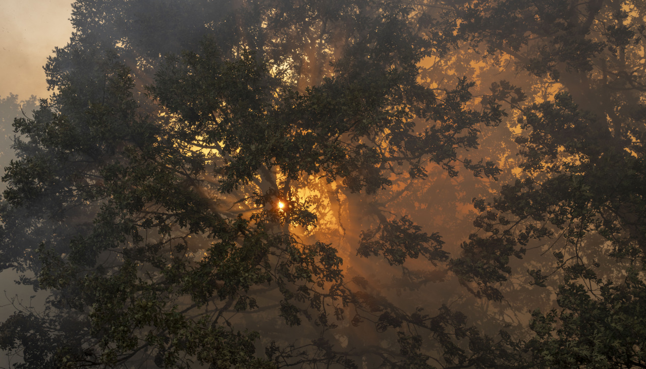 Incendio en Baltar