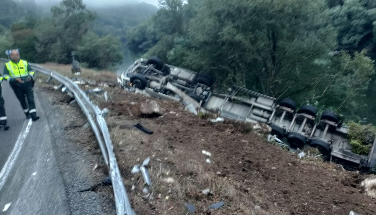 Un camión con 180 cerdos volcó en Nogueira de Ramuín, Ourense