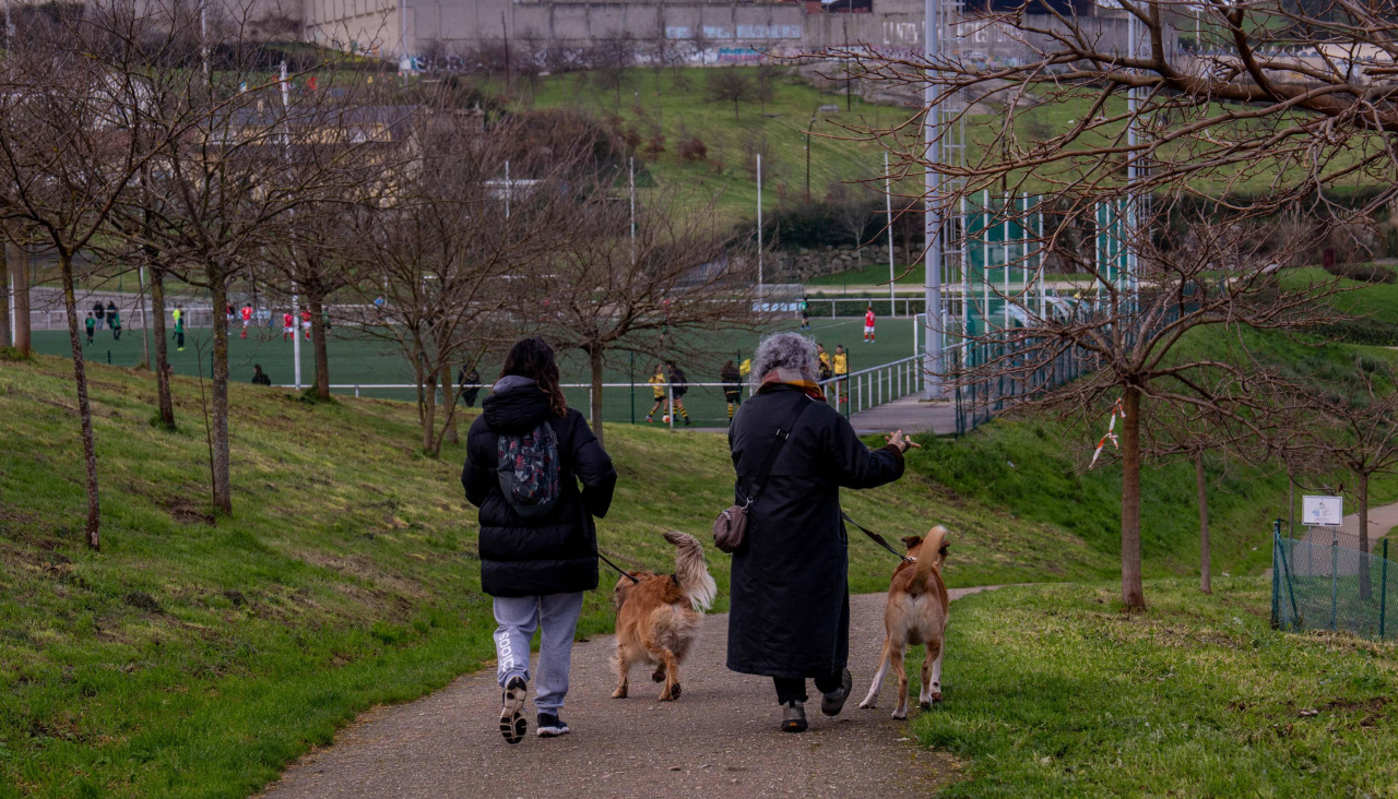 perros