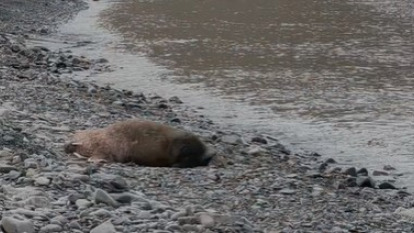 Cholo Ramón en su aventura en Svalbard_ día 1