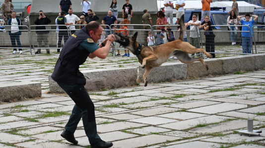 Fuerzas Armadas @Pedro Puig (4)