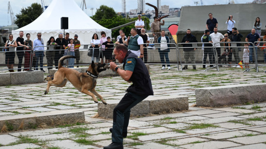 Fuerzas Armadas @Pedro Puig (5)