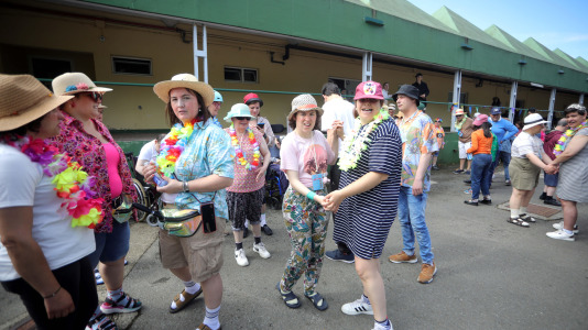 Lamastelle @Patricia G. Fraga (14)