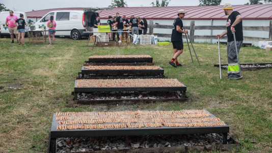 Cigalada en Anceis @Quintana (7)