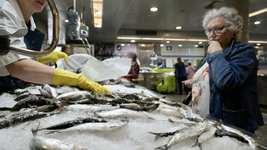 Ambiente en la plaza de Lugo en la mañana previa a la noche de San Juan @Javier Alborés (1)