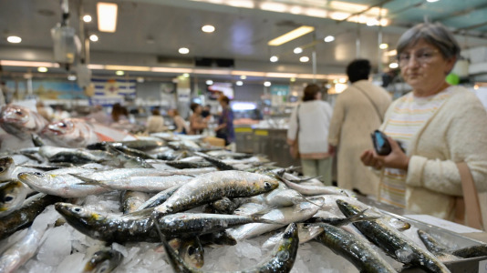 Ambiente en la plaza de Lugo en la mañana previa a la noche de San Juan @Javier Alborés (2)