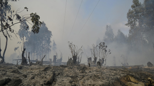 Incendio forestal en Suevos (16)
