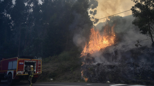 Incendio forestal en Suevos (10)