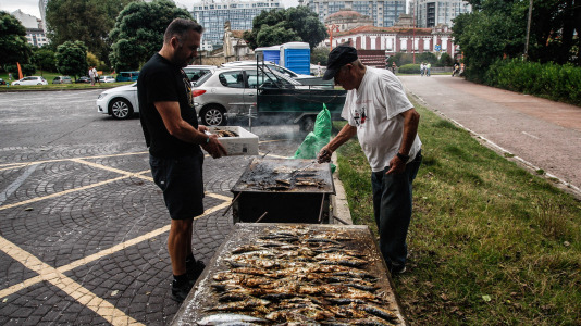 Merendiña Torre (7)