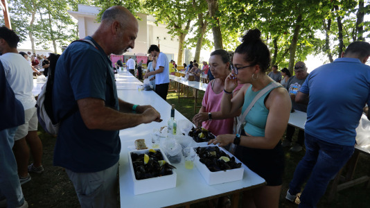 Lorbé disfruto de una gran fiesta con los mejillones como protagonistas @Patricia G. Fraga (15)