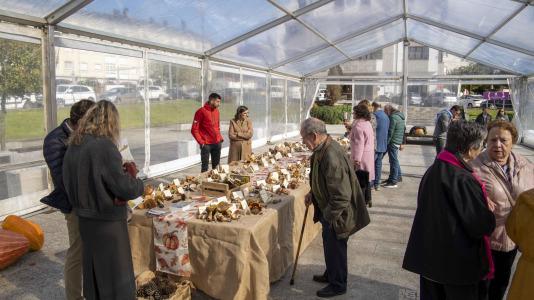 Exposición de setas en Teixeiro @Carlota Blanco (42)