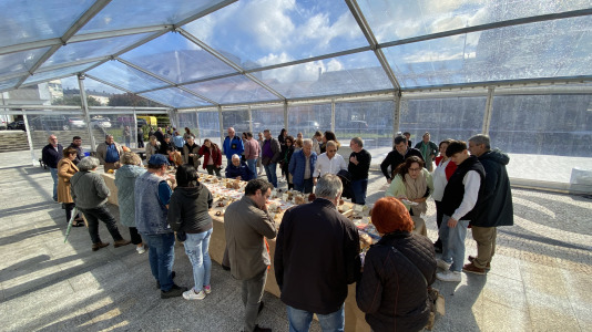 Exposición de setas en Teixeiro (1)