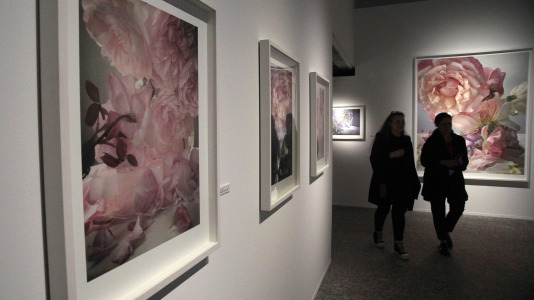 Exposición fotográfica de Nick Knight en la Fundación Barrié @Quintana (38)