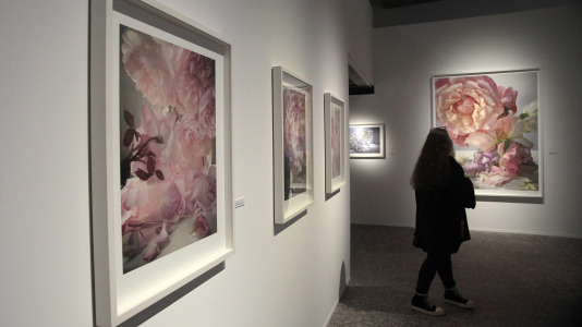 Exposición fotográfica de Nick Knight en la Fundación Barrié @Quintana (39)