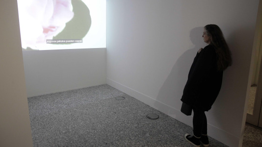 Exposición fotográfica de Nick Knight en la Fundación Barrié @Quintana (4)