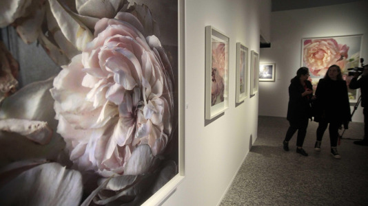 Exposición fotográfica de Nick Knight en la Fundación Barrié @Quintana (19)