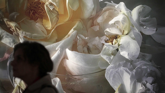 Exposición fotográfica de Nick Knight en la Fundación Barrié @Quintana (16)