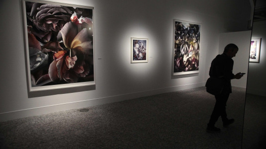 Exposición fotográfica de Nick Knight en la Fundación Barrié @Quintana (21)