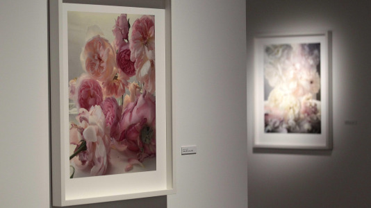 Exposición fotográfica de Nick Knight en la Fundación Barrié @Quintana (18)