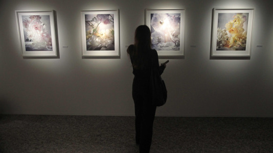 Exposición fotográfica de Nick Knight en la Fundación Barrié @Quintana (49)