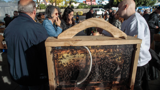 Feira do mel en Oleiros @Quintana (12)