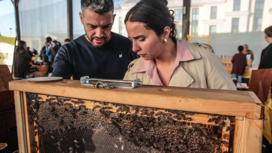 Feira do mel en Oleiros @Quintana (7)