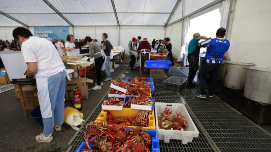 La Cofradía de Pescadores de Lorbé celebró una nueva edición de la Festa da Centola. Unos 1.200 ejemplares despachados, y otros (5)