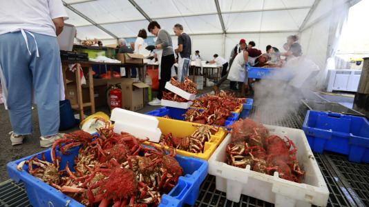 La Cofradía de Pescadores de Lorbé celebró una nueva edición de la Festa da Centola. Unos 1.200 ejemplares despachados, y otros (1)