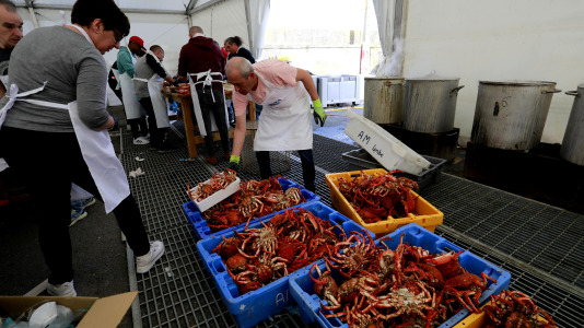 Cada Noviembre se celebra en el Puerto de Lorbé la Fiesta de la Centolla (27)