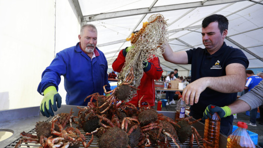 La Cofradía de Pescadores de Lorbé celebró una nueva edición de la Festa da Centola. Unos 1.200 ejemplares despachados, y otros (4)