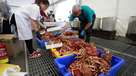 Cada Noviembre se celebra en el Puerto de Lorbé la Fiesta de la Centolla (20)
