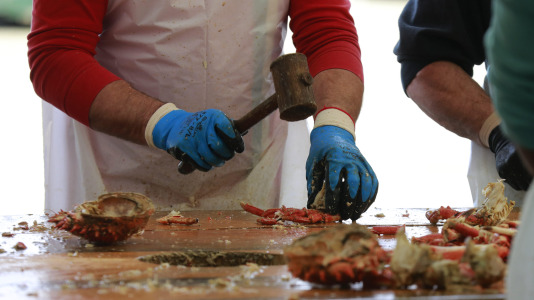 La Cofradía de Pescadores de Lorbé celebró una nueva edición de la Festa da Centola. Unos 1.200 ejemplares despachados, y otros (9)