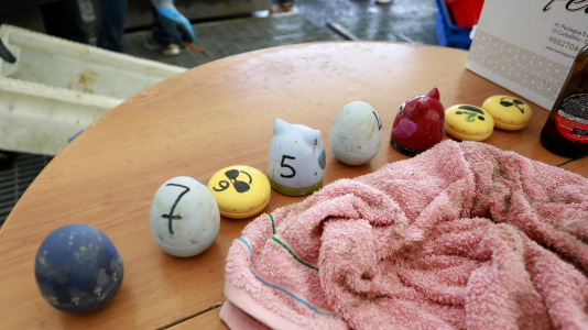 Cada Noviembre se celebra en el Puerto de Lorbé la Fiesta de la Centolla (15)