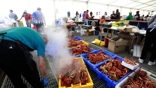 Cada Noviembre se celebra en el Puerto de Lorbé la Fiesta de la Centolla (11)