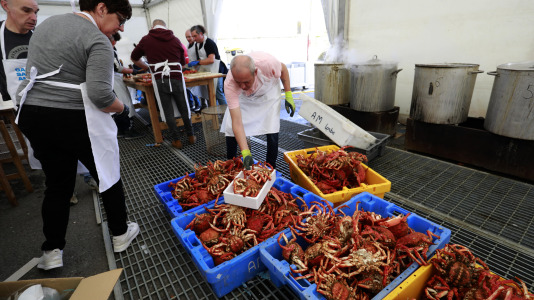 Cada Noviembre se celebra en el Puerto de Lorbé la Fiesta de la Centolla (28)