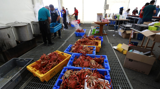 Cada Noviembre se celebra en el Puerto de Lorbé la Fiesta de la Centolla (35)