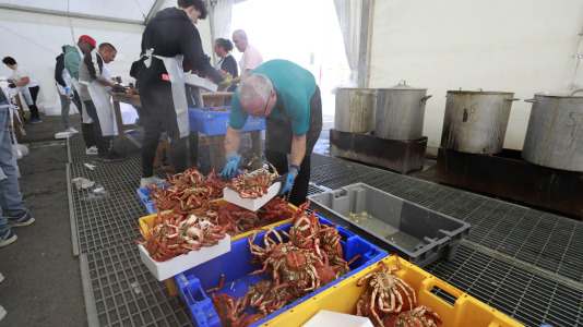 Cada Noviembre se celebra en el Puerto de Lorbé la Fiesta de la Centolla (1)