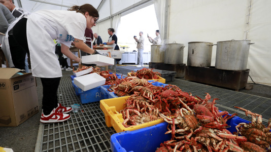 Cada Noviembre se celebra en el Puerto de Lorbé la Fiesta de la Centolla (18)