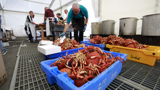 Cada Noviembre se celebra en el Puerto de Lorbé la Fiesta de la Centolla (3)