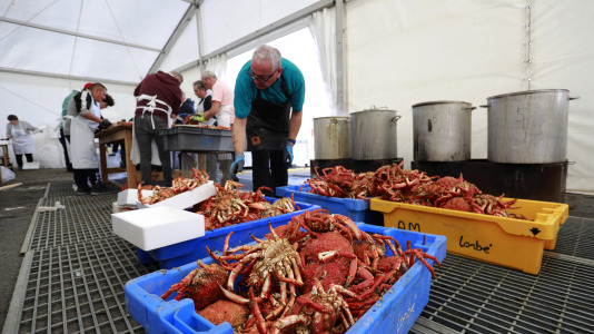 Cada Noviembre se celebra en el Puerto de Lorbé la Fiesta de la Centolla (5)