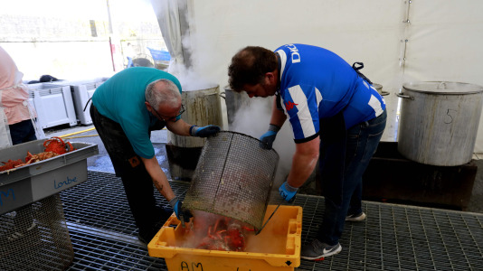 Cada Noviembre se celebra en el Puerto de Lorbé la Fiesta de la Centolla (6)