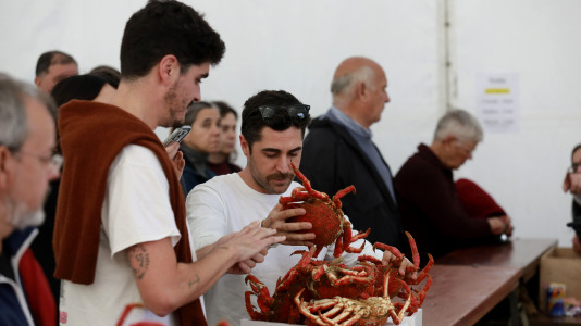 Cada Noviembre se celebra en el Puerto de Lorbé la Fiesta de la Centolla (42)