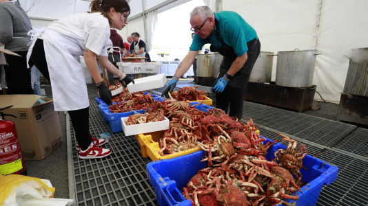 Cada Noviembre se celebra en el Puerto de Lorbé la Fiesta de la Centolla (19)
